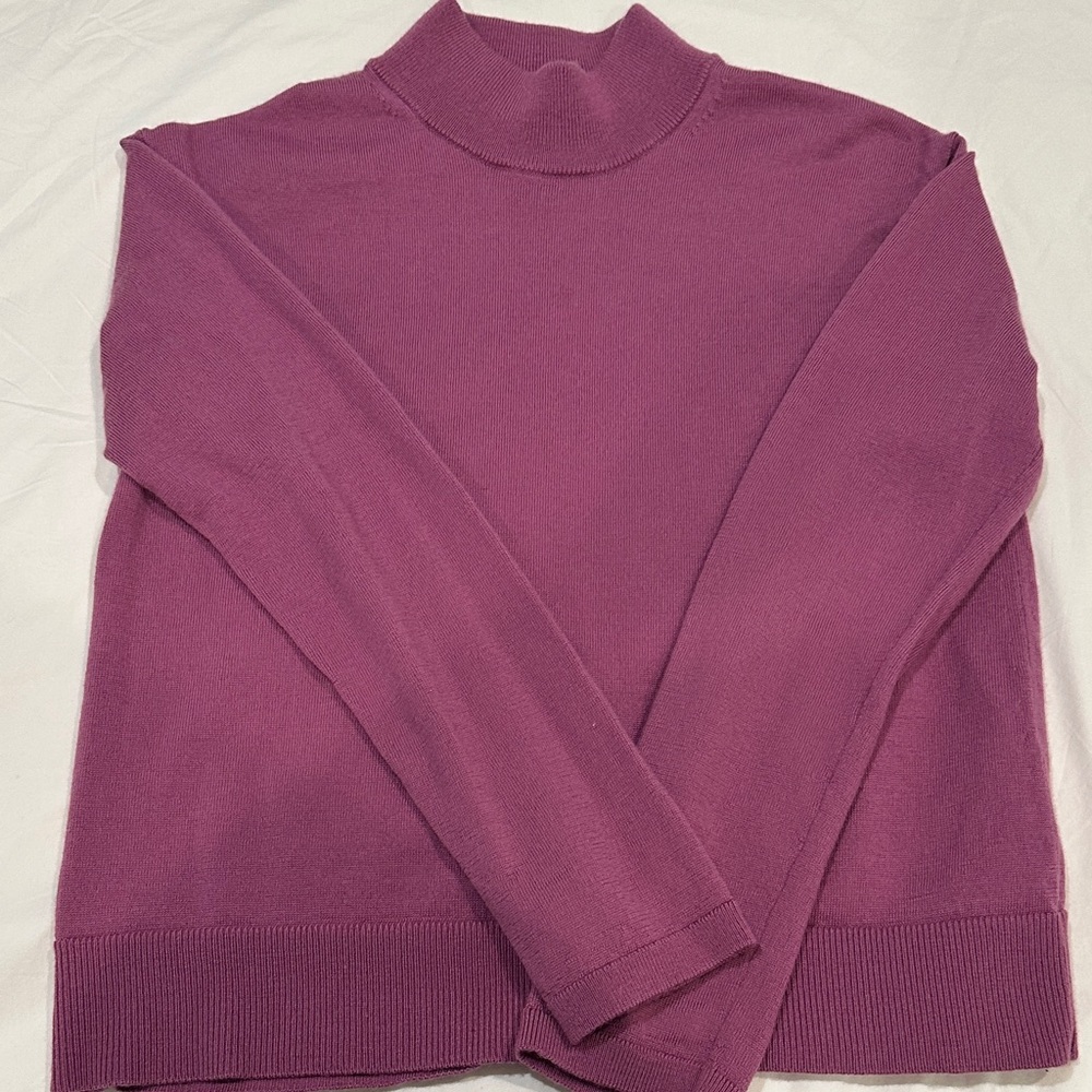Banana Republic Plum Turtleneck Sweater